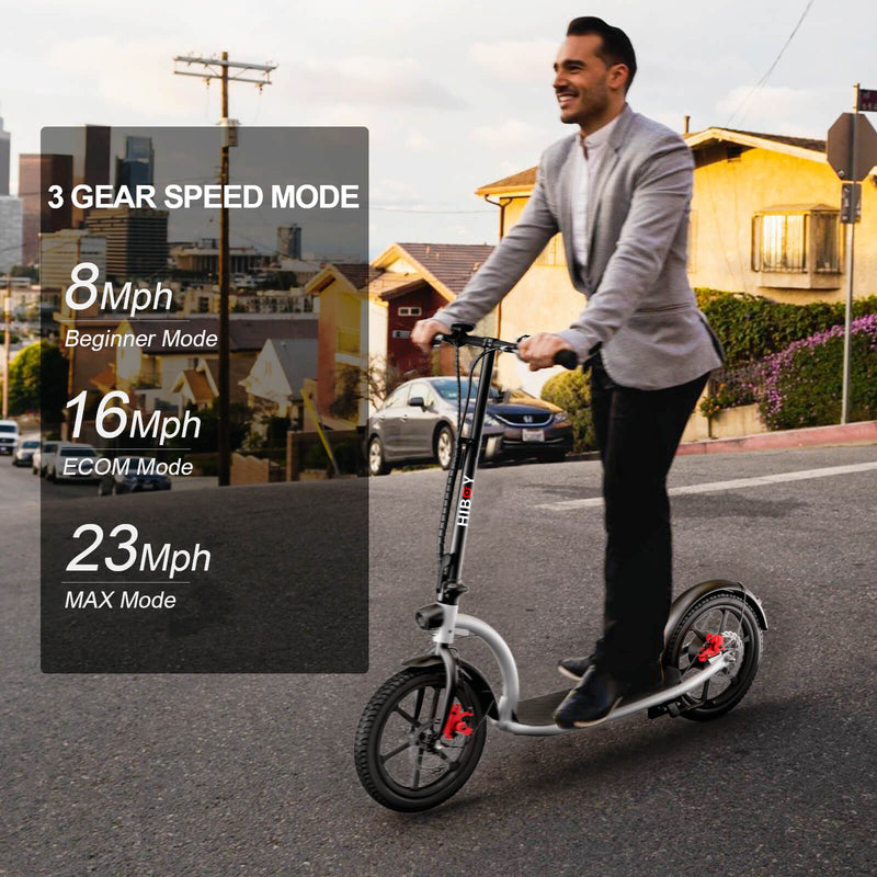 Pro Hiboy VE1  Electric-Scooter